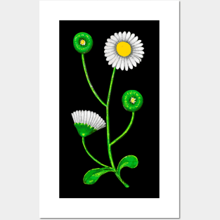 White Flower Posters and Art